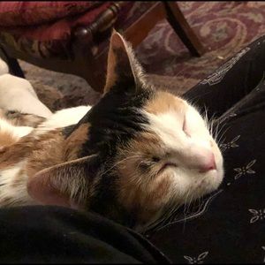 Meet your Posher, Nancy